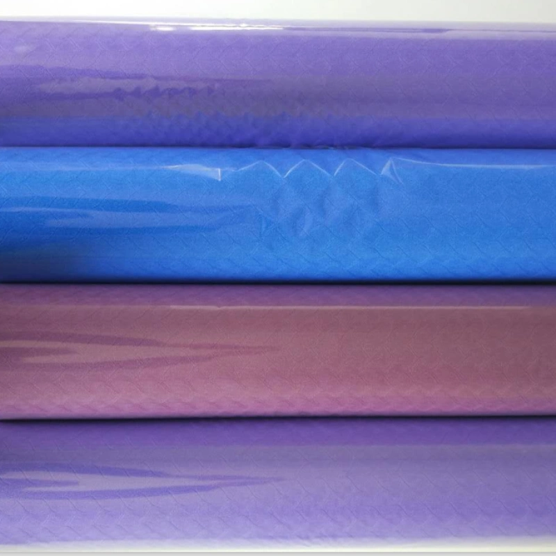 EVA or TPE Yoga Mat with Different Hardness and Colors